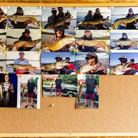 Tatil Evi Caloroczne Cameo Nad Jeziorem Zarnowieckim *