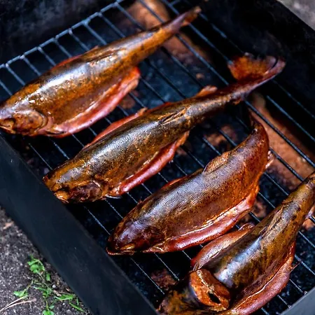 Caloroczne Cameo Nad Jeziorem Zarnowieckim Tatil Evi Lubkowo