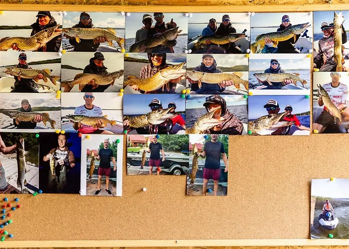 Сasa de vacaciones Caloroczne Cameo Nad Jeziorem Zarnowieckim *